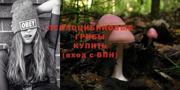 мяу мяу кристалл Алексин