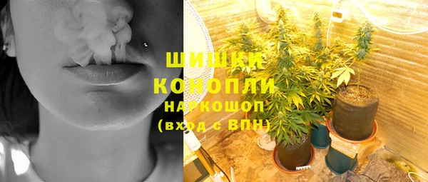 соль ск Арсеньев