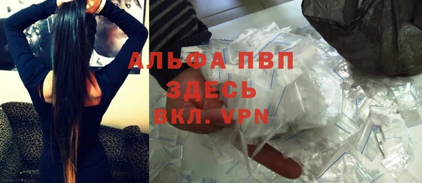 сатива Богородицк